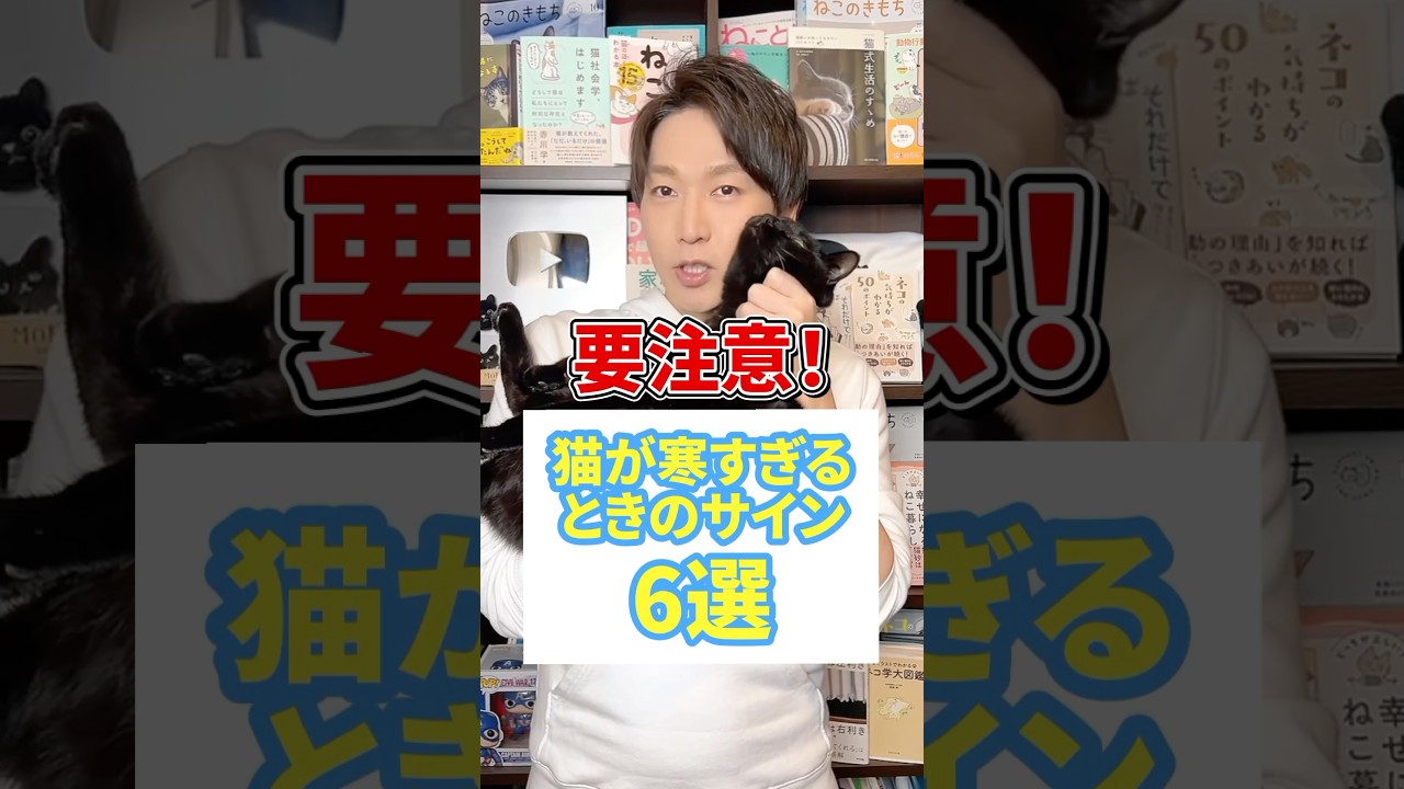 要注意！猫が寒すぎるときのサイン6選 #猫 #猫のいる暮らし #ねこ