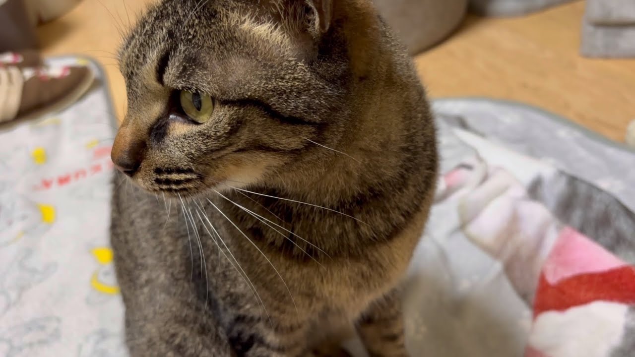 たくましくなってきたうまちゃん