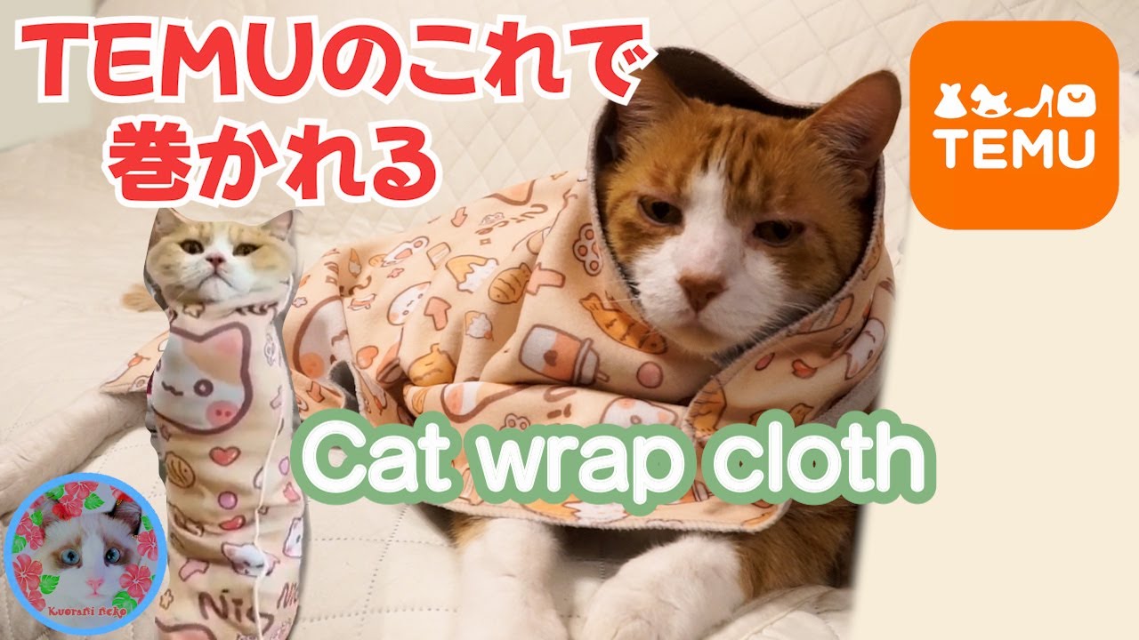 激安TEMUの猫用品で猫をくるんで簡単に爪切りをしてみたい夢があります Cat wrap cloth