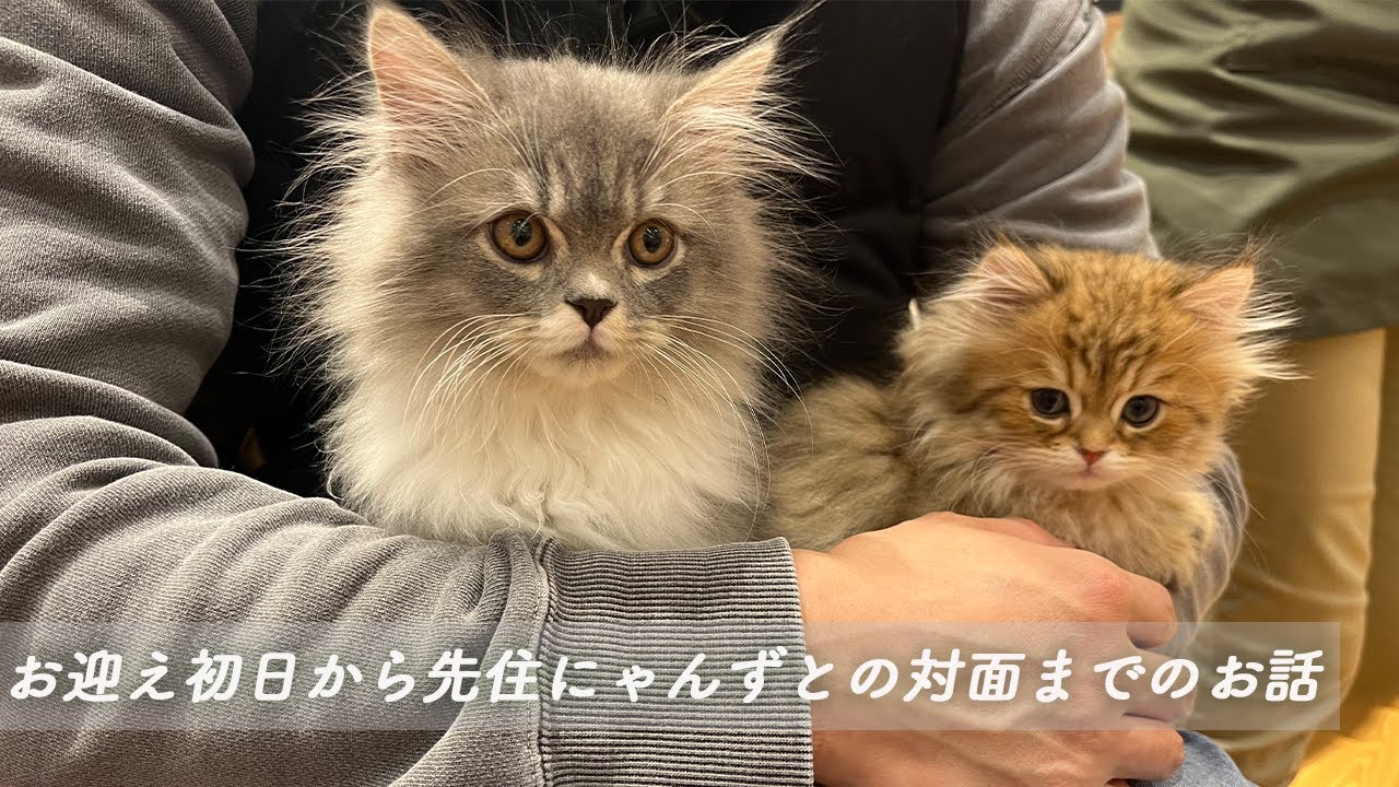 家族が増えました！