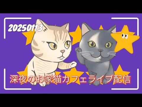 深夜のお家猫カフェライブ配信 ２８７