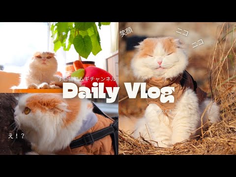 【猫界潜入捜査官24時！】猫の知られざる素顔が明らかに‥！