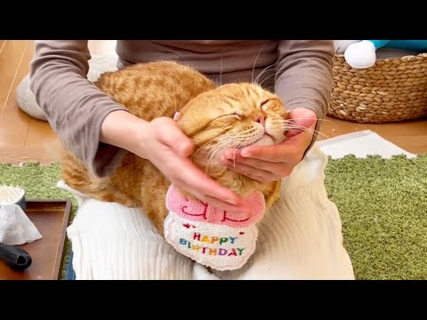 ぽちゃくん3歳のお誕生日です！