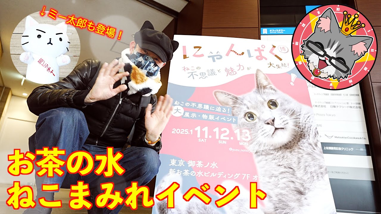 【お茶の水・にゃんぱく】ねこまみれのイベントに行ってきました♪