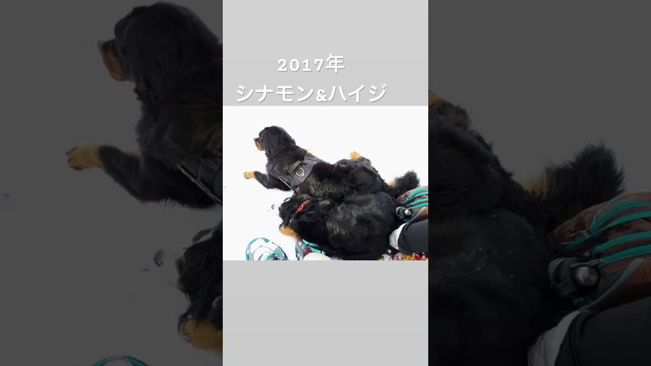 近所でスノーシュー　雪の椅子作ったね　スイスじゃないよ