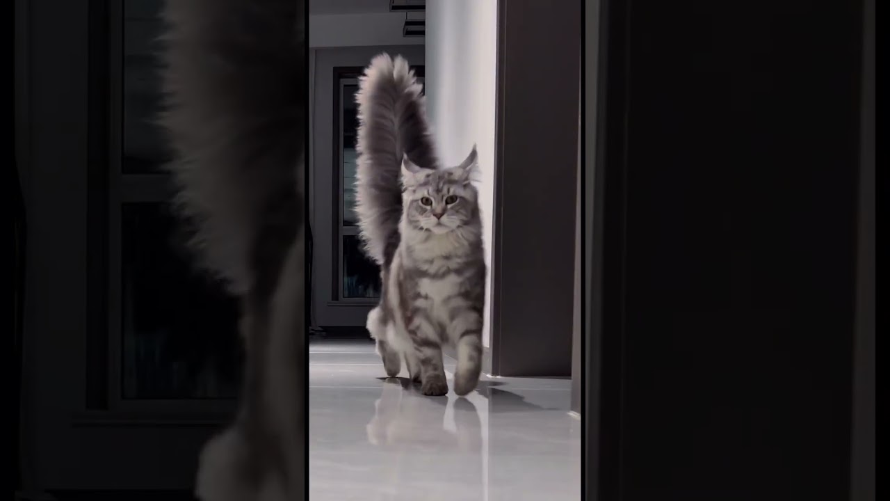 ايه الحلاوة دي What a beauty