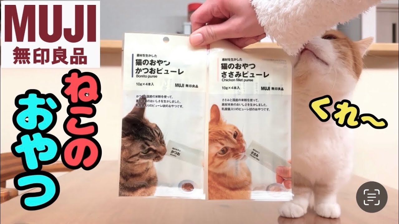 無印のねこおやつを買ってみた【短足マンチカン】