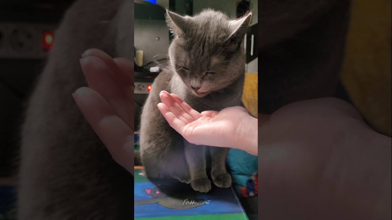 Вечерний влог после работы, уютный, вкусный и теплый🥰