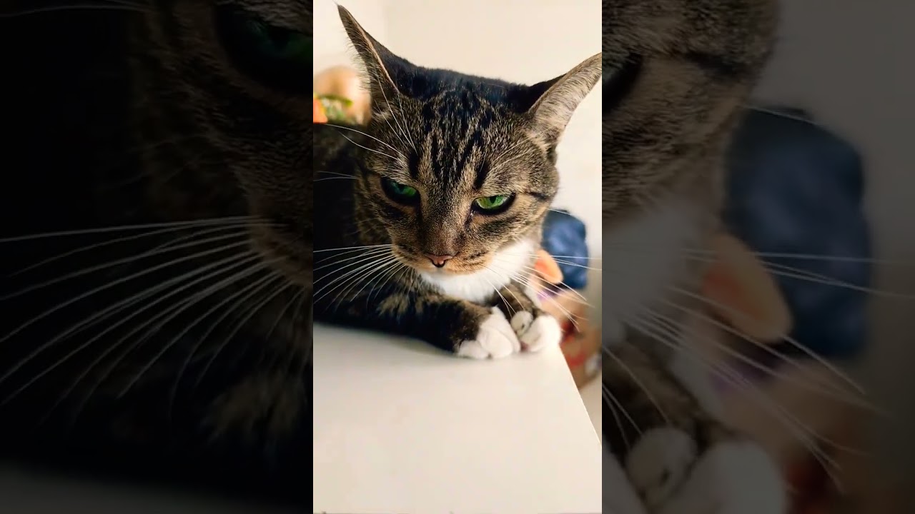 15 de janeiro de 2025