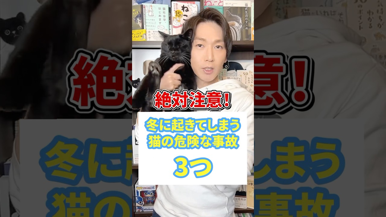 絶対注意！冬に起きてしまう猫の危険な事故３つ #猫 #猫のいる暮らし #ねこ