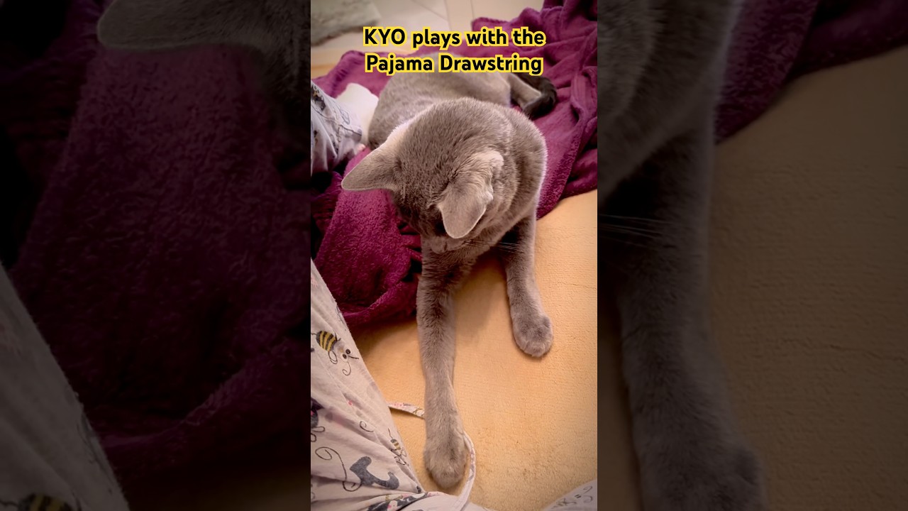 KYO plays with the Pajama Drawstring