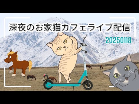 深夜のお家猫カフェライブ配信 ２９２