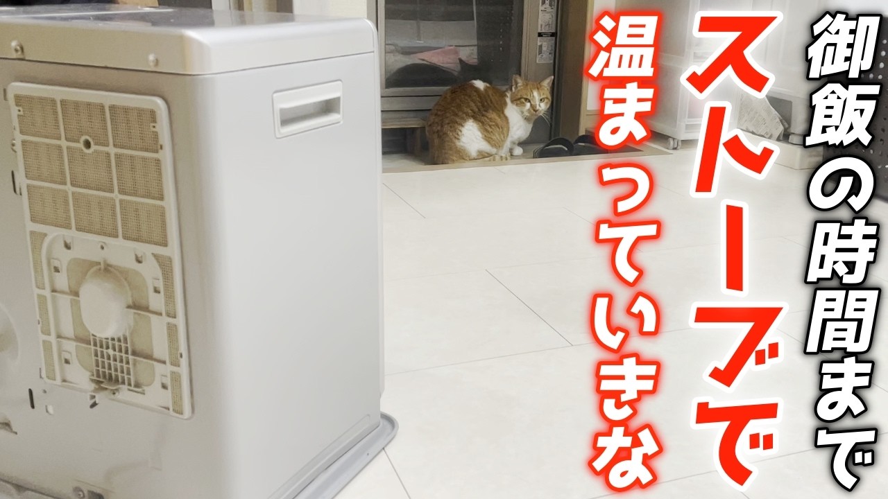 寒い冬にストーブで温まる庭子猫君が可愛すぎました…♡[三毛母猫の子猫]