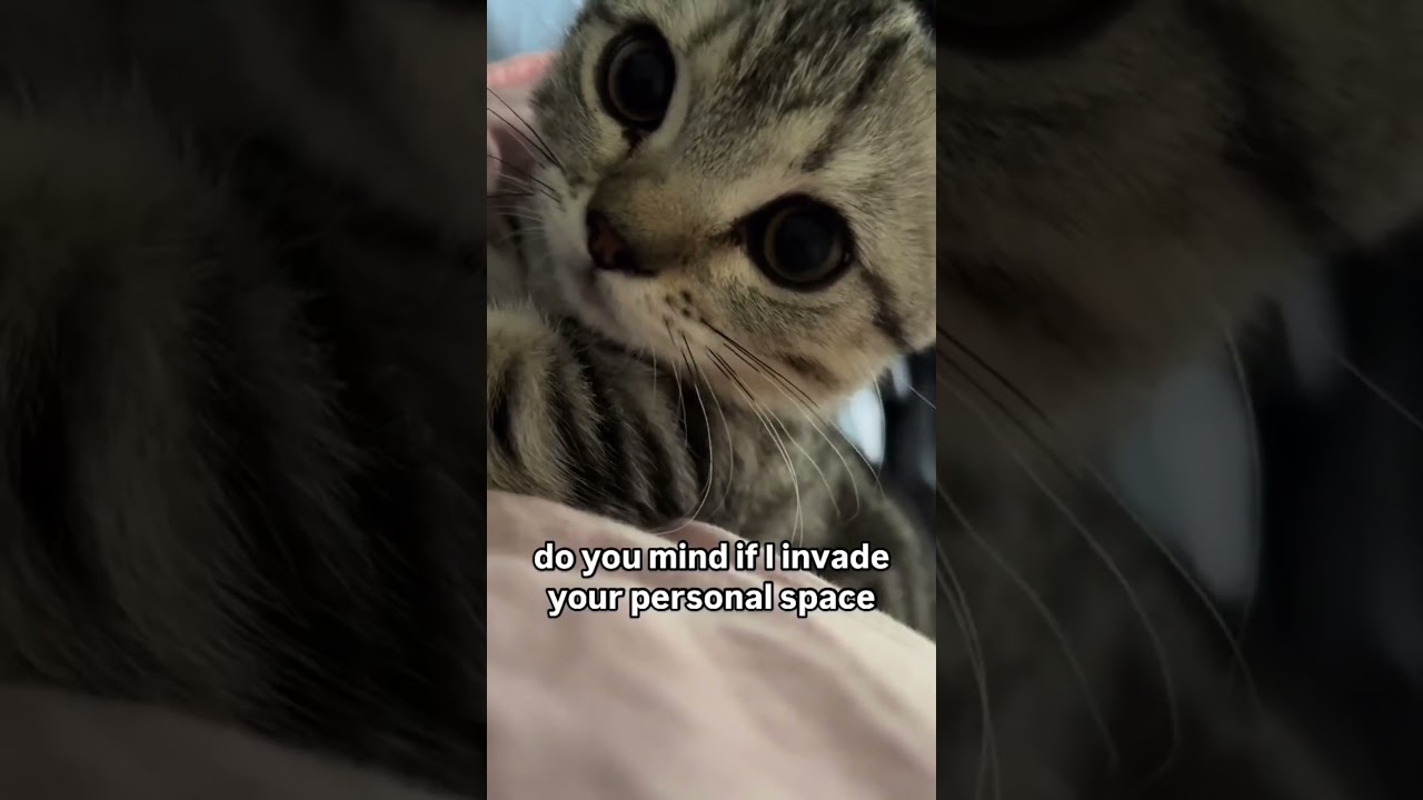 would you mind if you woke up to this?
