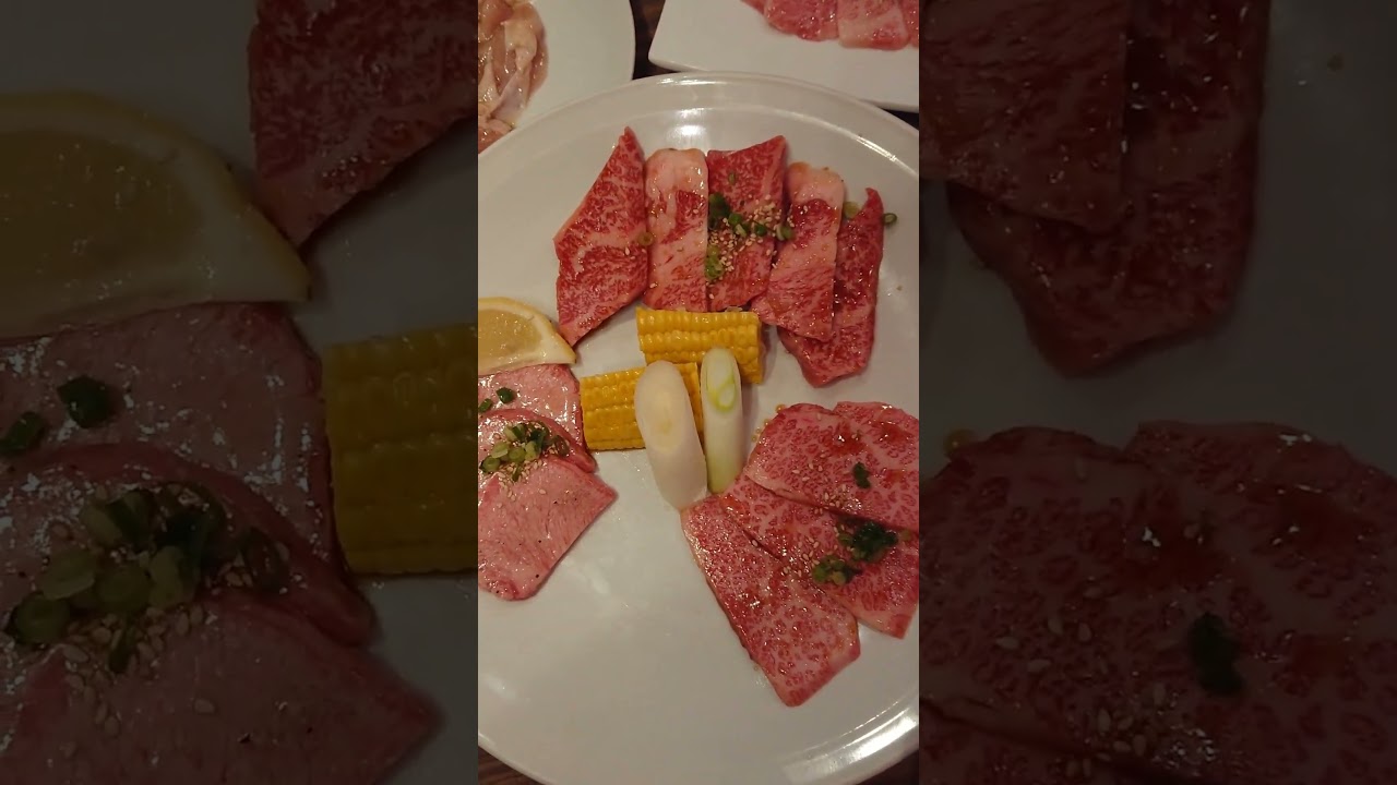 焼肉へ・・ルナ君お留守番 #cat #焼肉 #shorts  #ラグドール