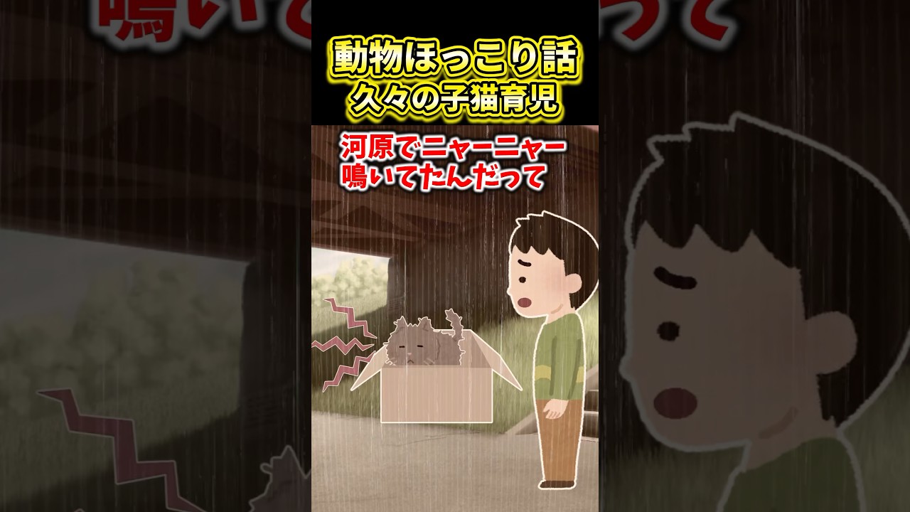 【2ch動物スレ】久々の子猫育児