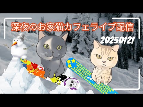 深夜のお家猫カフェライブ配信 ２９５