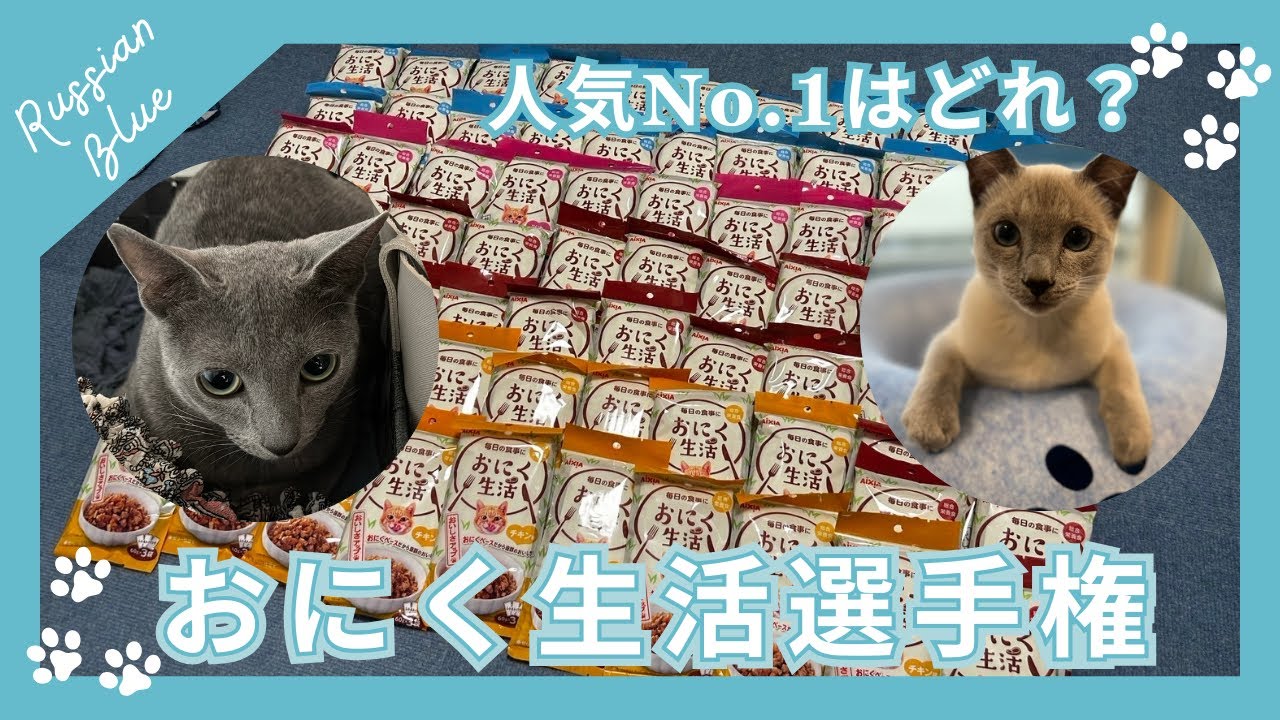 ウェットフード食べ比べ！おにく生活選手権！【ロシアンブルーのあおそら】
