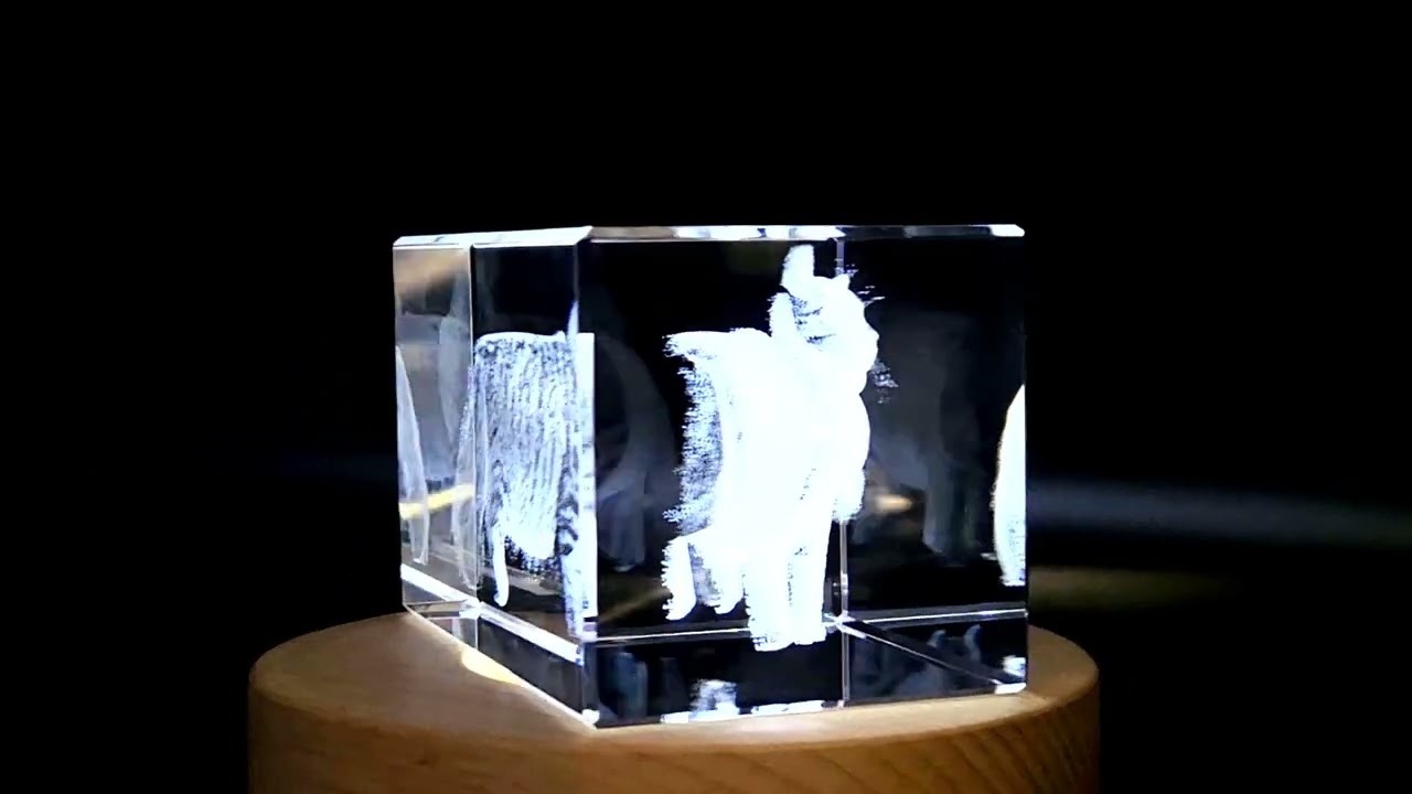 Unique 3D Engraved Crystal Statue Siberian Cat - FSCAT16