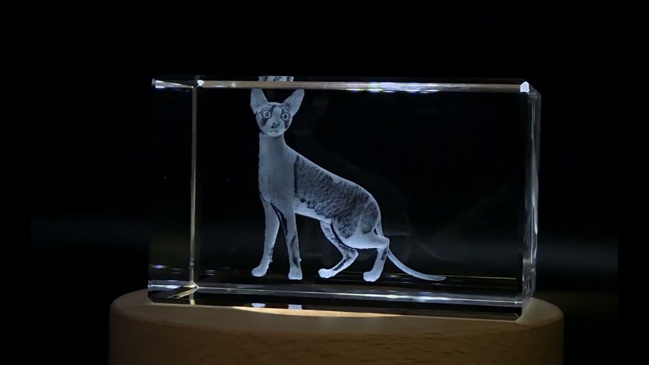 Unique Cornish Rex Cat 3D Engraved Crystal Gift for Cat Lovers - FSCAT18