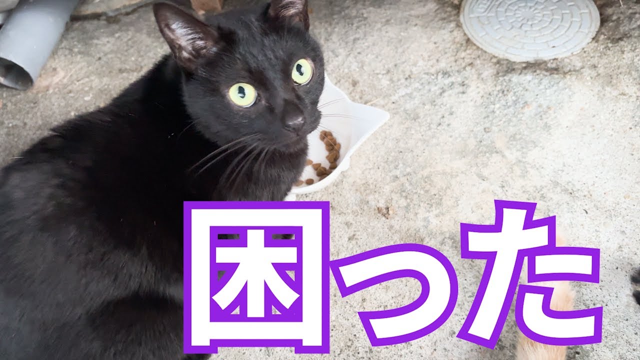 動画を再開した現状がよくないです