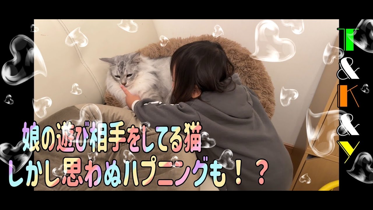 妹の遊び相手をしてる猫　しかし！！たまには泣かれる事もある！