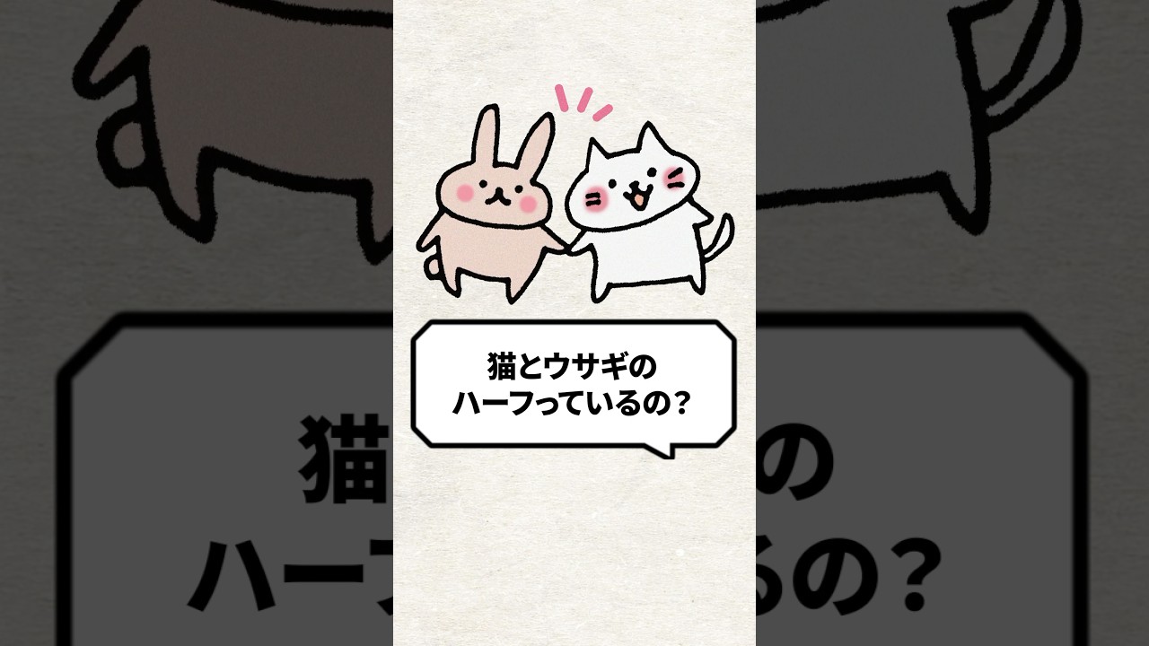 Q：猫もウサギのハーフっているの？ #猫 #猫好き #ねこ