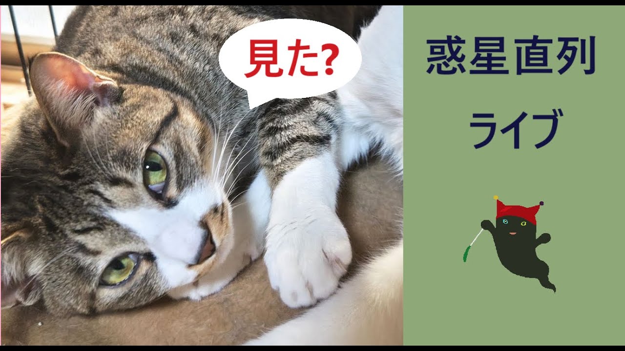 2025.01.22 nekoと一緒に惑星直列ライブを観る。