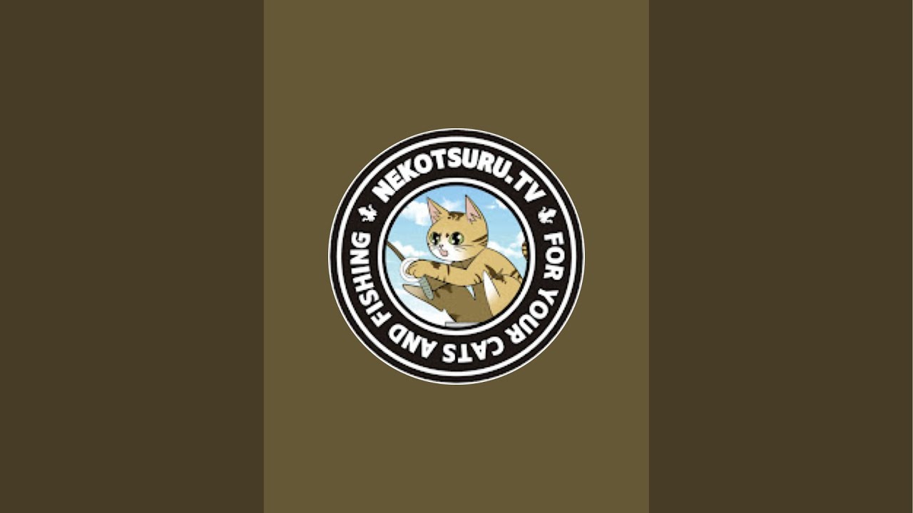 猫のライブ配信中！マンチカン×ジェネッタ×ベンガル猫