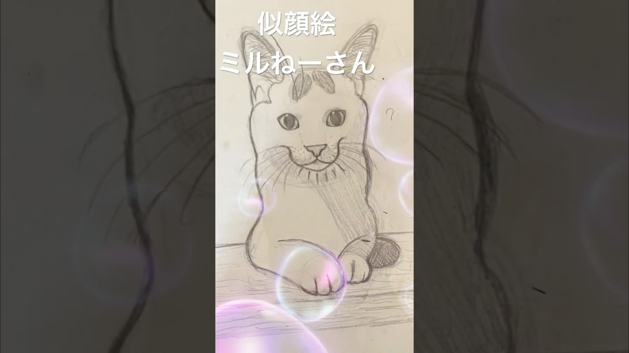 【似顔絵】ありがとうございます。みんな絵上手いね。＃shorts＃cat＃ねこ＃保護猫