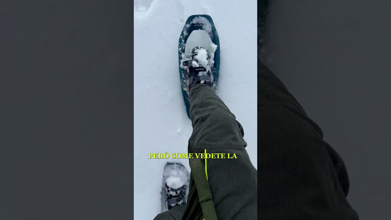 Snowshoeing into the Forest for Project Birdwatching: Refilling the Birdhouses! #wildlife
