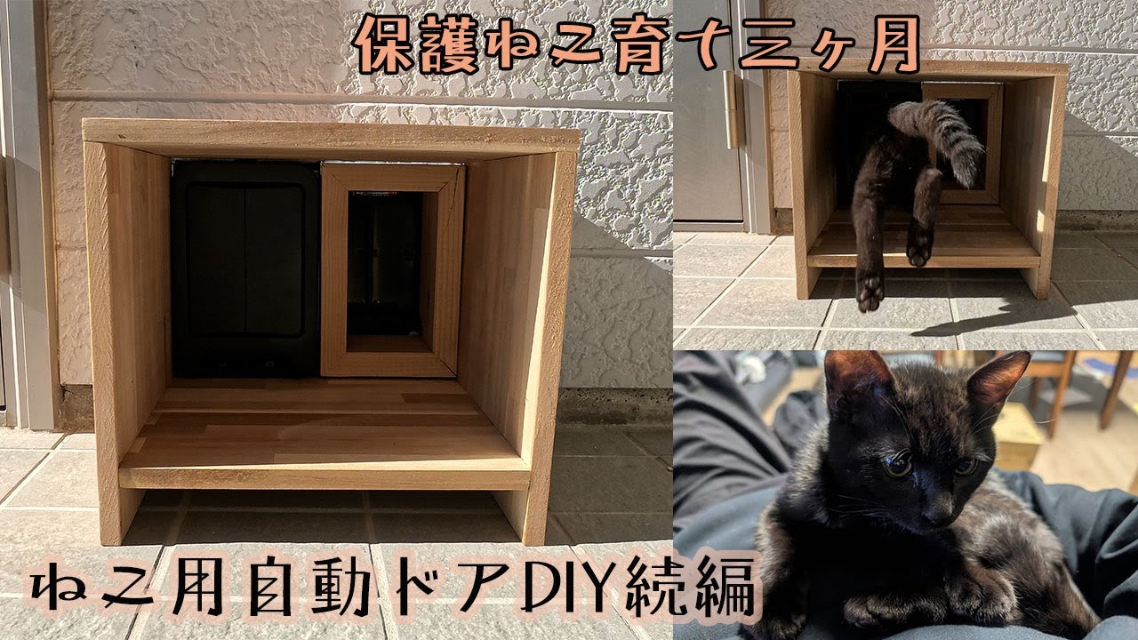 子猫の為の自動ドアを作るDIY【続編】保護猫