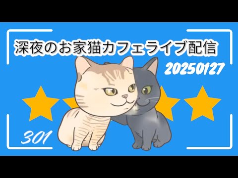 深夜のお家猫カフェライブ配信 ３０１