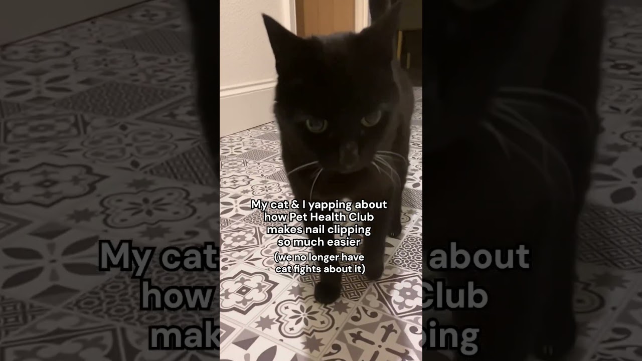 Never struggle with nail clips with Pet Health Club. #cat #cathealth #vetcare #cats #catlover #pets