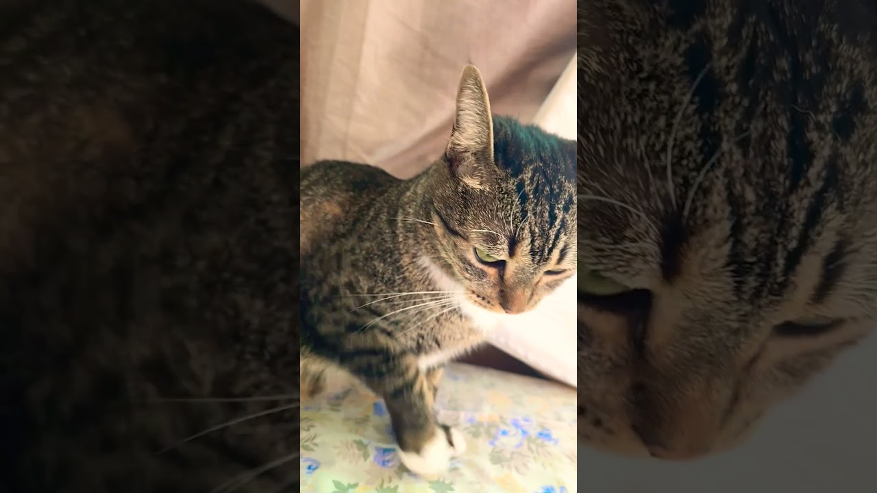 27 de janeiro de 2025