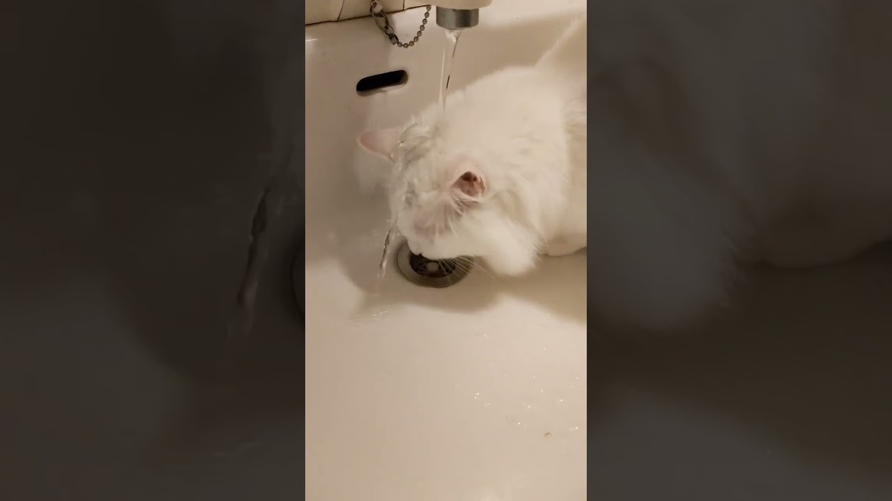 いつもびしょびしょ