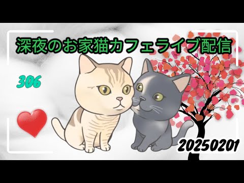 深夜のお家猫カフェライブ配信 ３０６