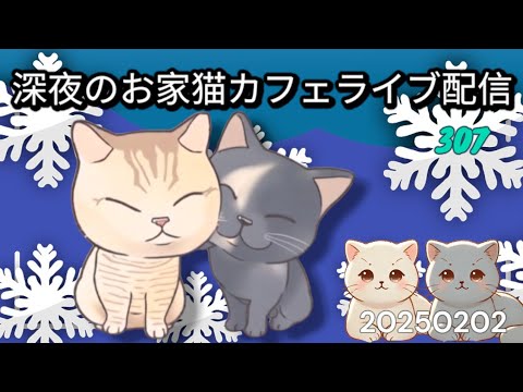 深夜のお家猫カフェライブ配信 ３０７