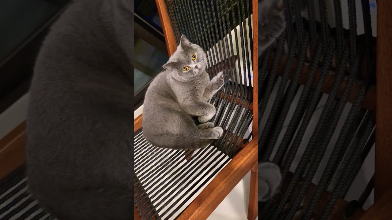 Lyras favourite spot these days