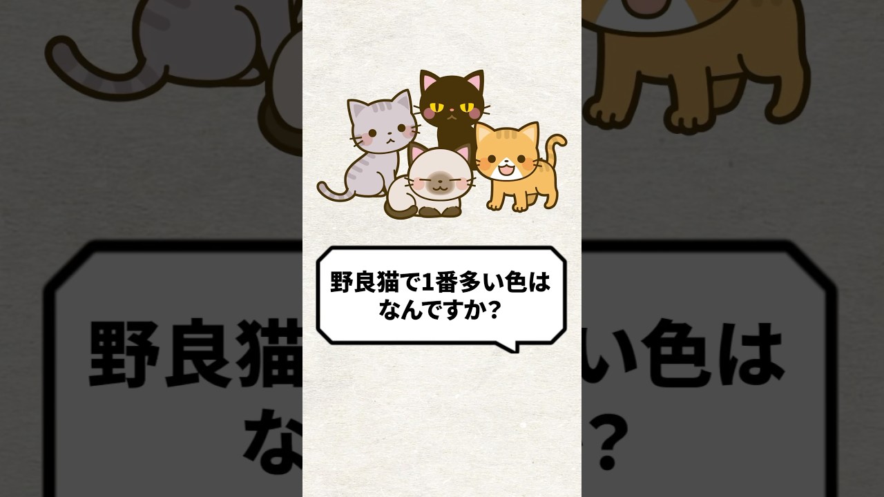 Q：野良猫で1番多い色はなんですか？ #猫 #保護猫 #ねこ