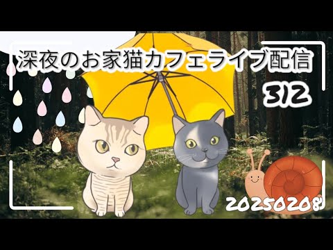 深夜のお家猫カフェライブ配信 ３１２