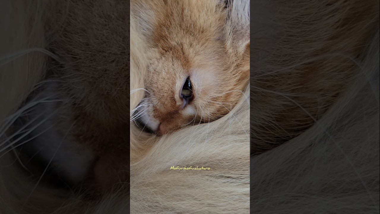 もうすぐ目覚めの春…