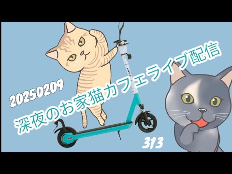 深夜のお家猫カフェライブ配信 ３１３
