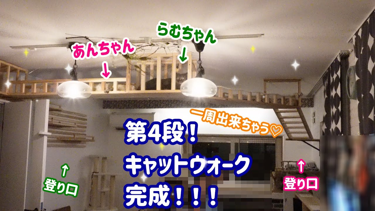 第4弾！DIYで空中キャットウォークで部屋を一周してもらいたい！#515