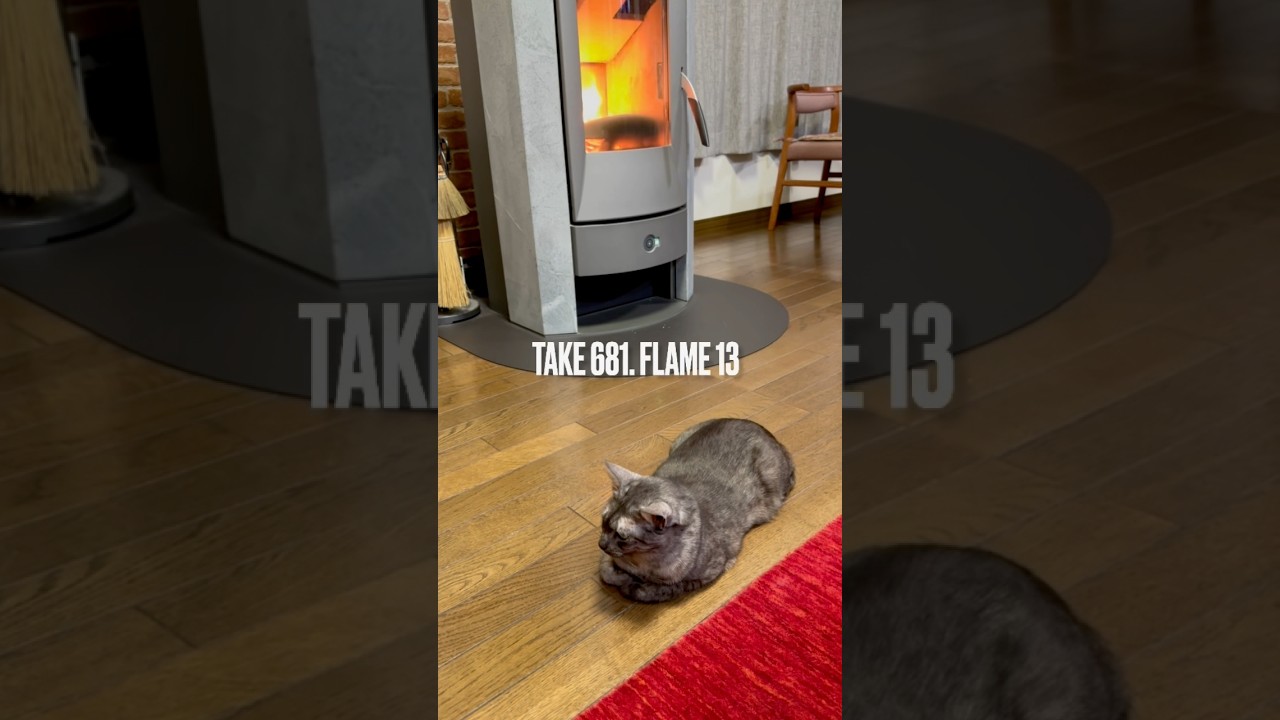 #オーストリア🇦🇹  製 #薪ストーブ 最高にゃ‼️#青森県の猫 #egyptianmaucat #エジプシャンマウの仲間たち #エジプシャンマウスモーク #shorts #冬の楽しみ #rika