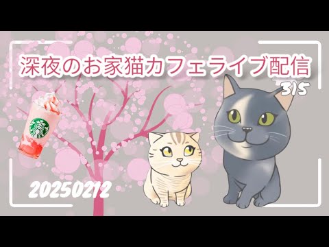 深夜のお家猫カフェライブ配信 ３１５