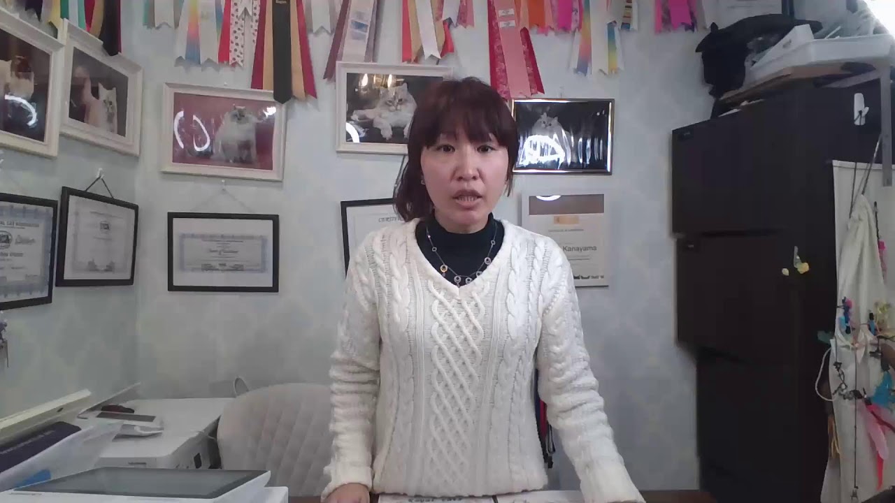 【　2025.2.14 サイベリアンの子猫ご紹介ライブ】