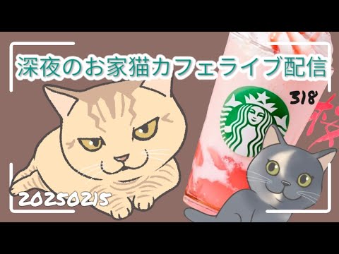 深夜のお家猫カフェライブ配信 ３１８