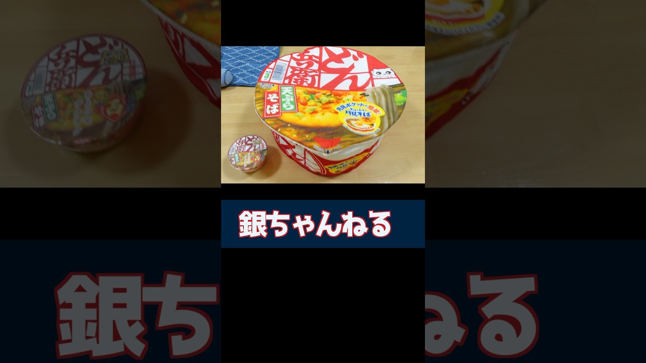 カップ麺の具材になった猫　#マンチカン　#猫
