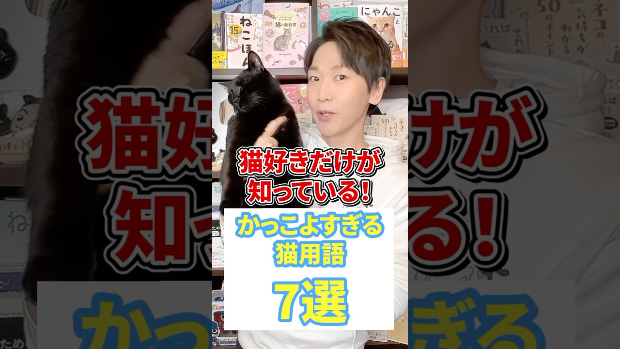 猫好きだけが知ってる！かっこよすぎる猫用語７選 #猫 #猫好き #ねこ